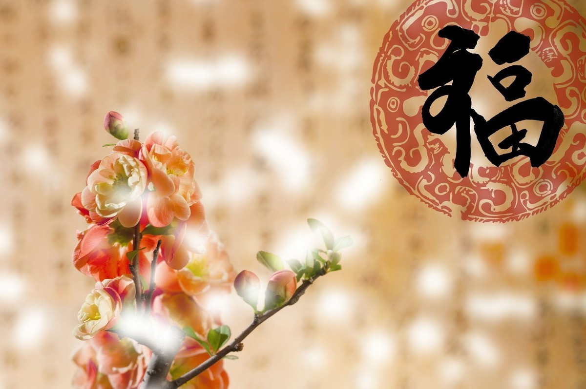 关于春天的古诗分享，关于春节的古诗四句