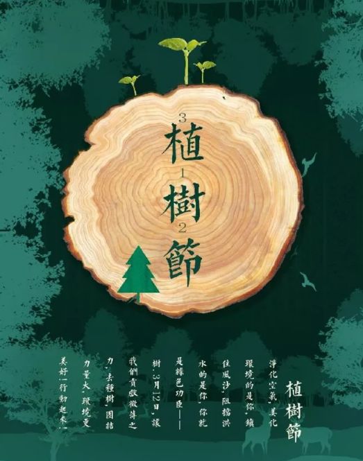 描写植树造林的诗句，关于植树节的小诗歌大全