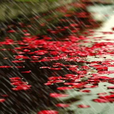 连续两句含有雨的诗句，关于赞美雨的诗句