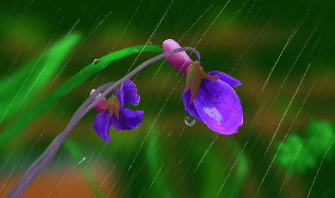 写雨的诗词名句有哪些，最有意境的16首春雨诗句
