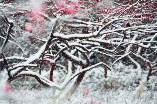 形容雪景美如画的诗句，描写雪景唯美的9首古诗