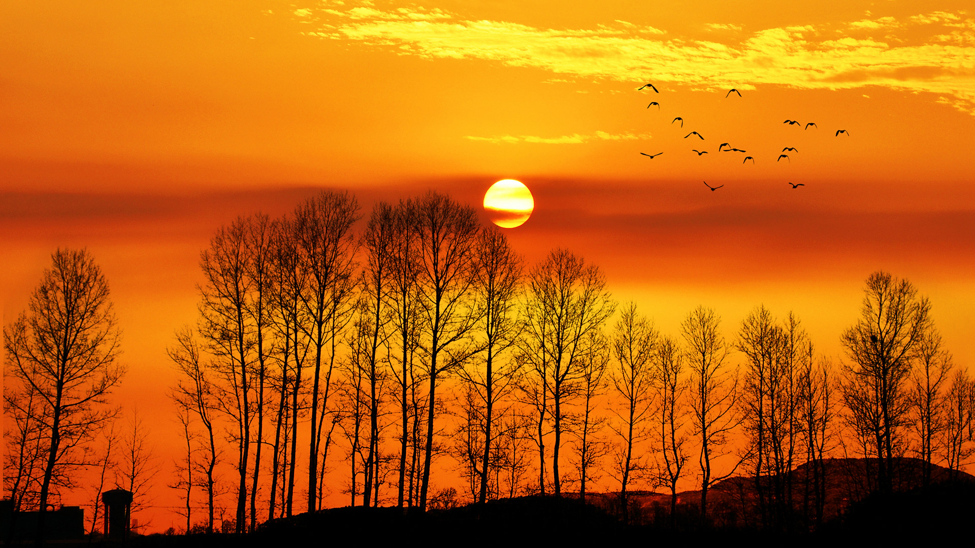描写日落的诗句有哪些，落日夕阳优美诗句