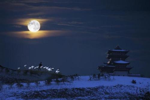 月夜古诗刘方平赏析，月夜古诗有怎么样的感情？
