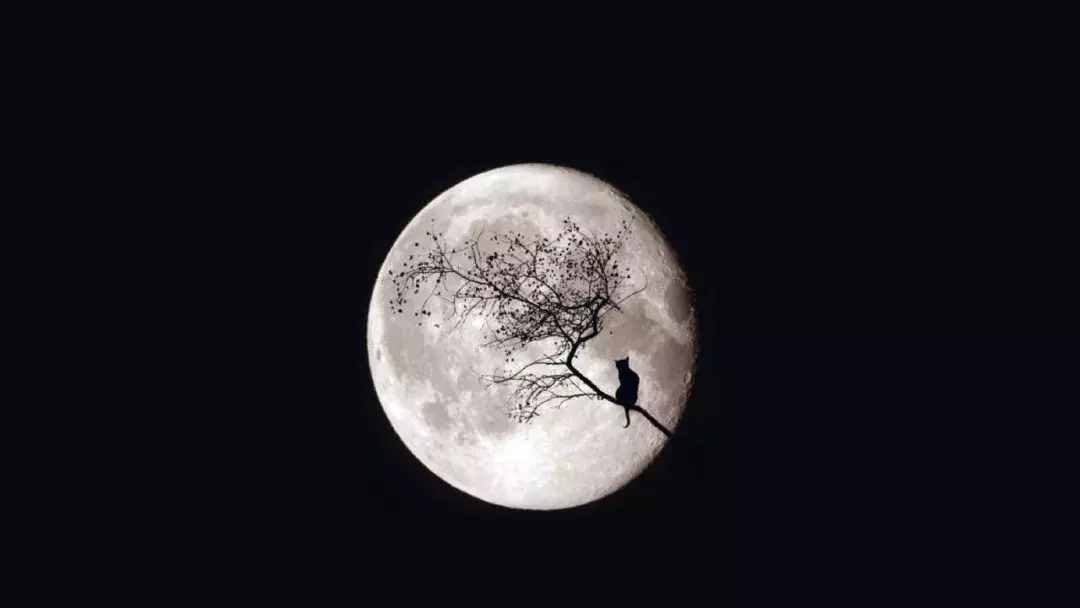 描写月的诗句有哪些，有关月的古诗词汇总