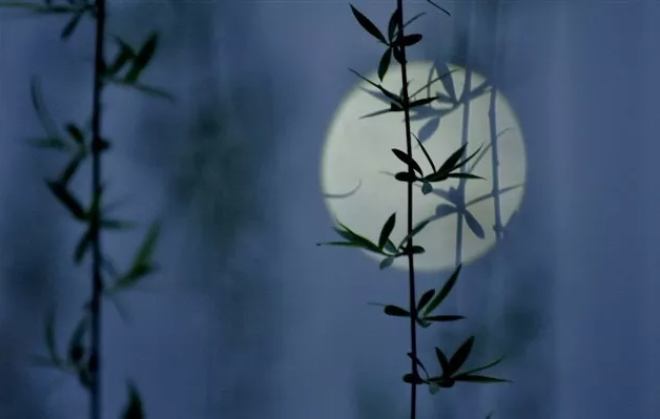 描写月夜的古诗有哪些，分享月夜古诗配画