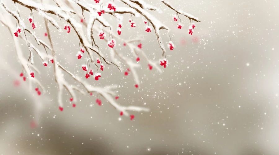 赞美冬天的诗句有哪些，形容冬天景色美的诗句