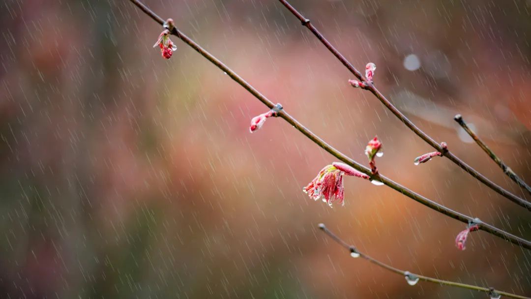 有关雨的句子有哪些，描写雨的诗句唯美