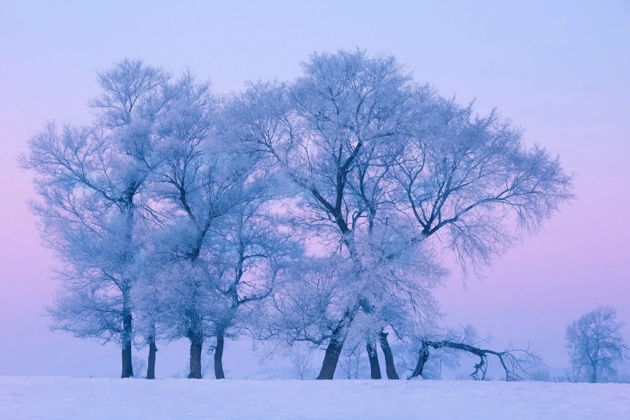 有关冬天的诗歌有哪些，描写冬天的现代诗歌