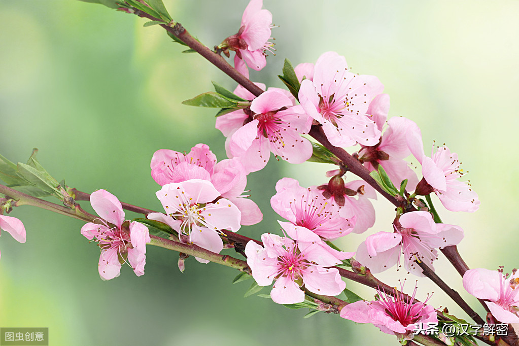 带桃的诗句有哪些，形容桃子的优美诗词