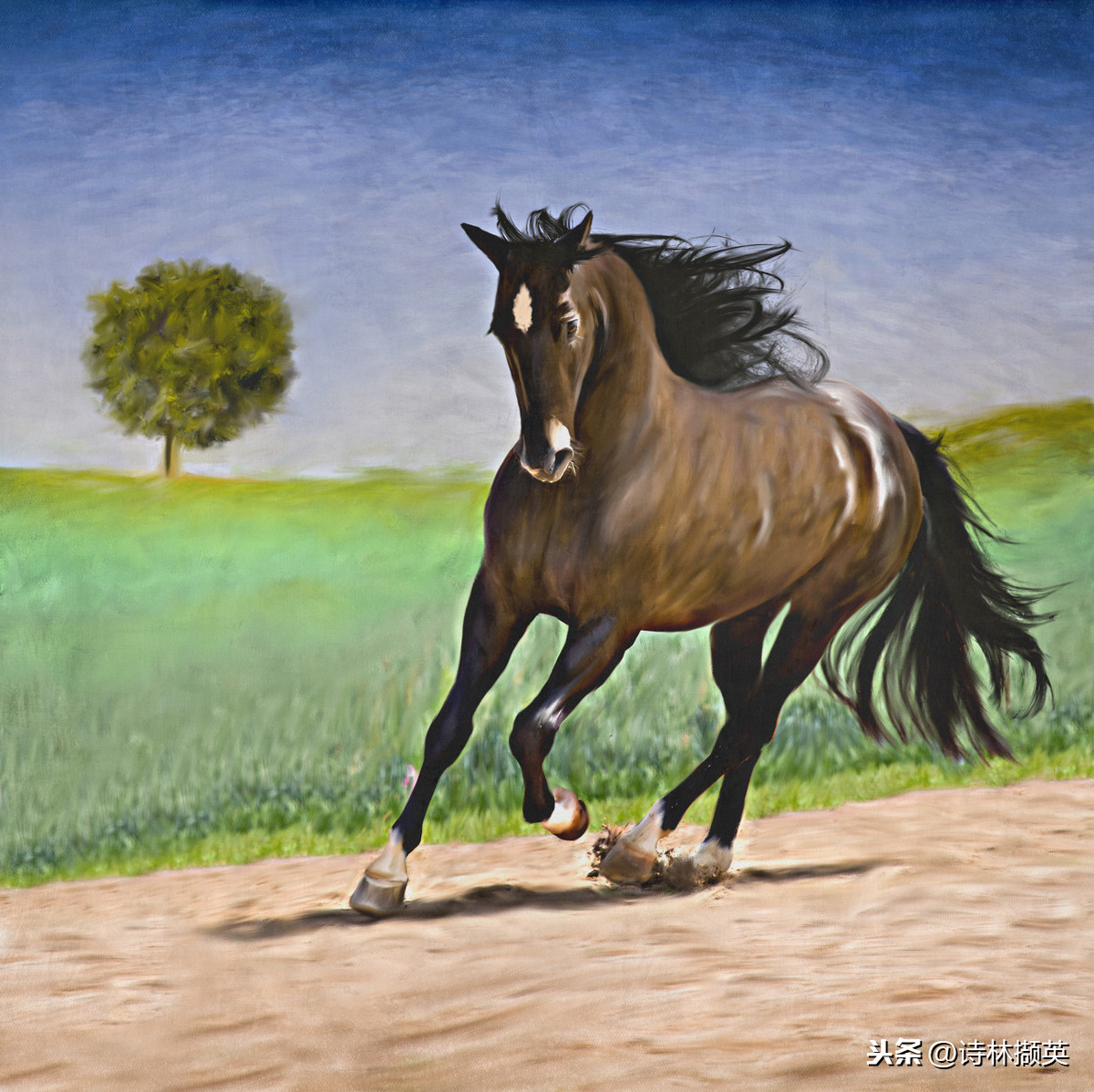 有关马的古诗句有哪些，古代赞美奔跑马的诗句