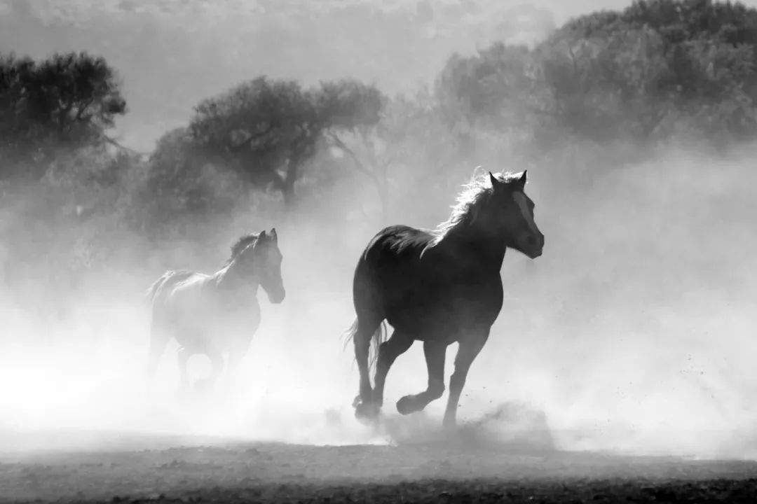 马的古诗有哪些，6首关于马的古诗词
