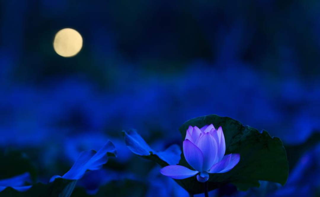 含有月亮的诗句有哪些，描写月色之美的10首古诗词