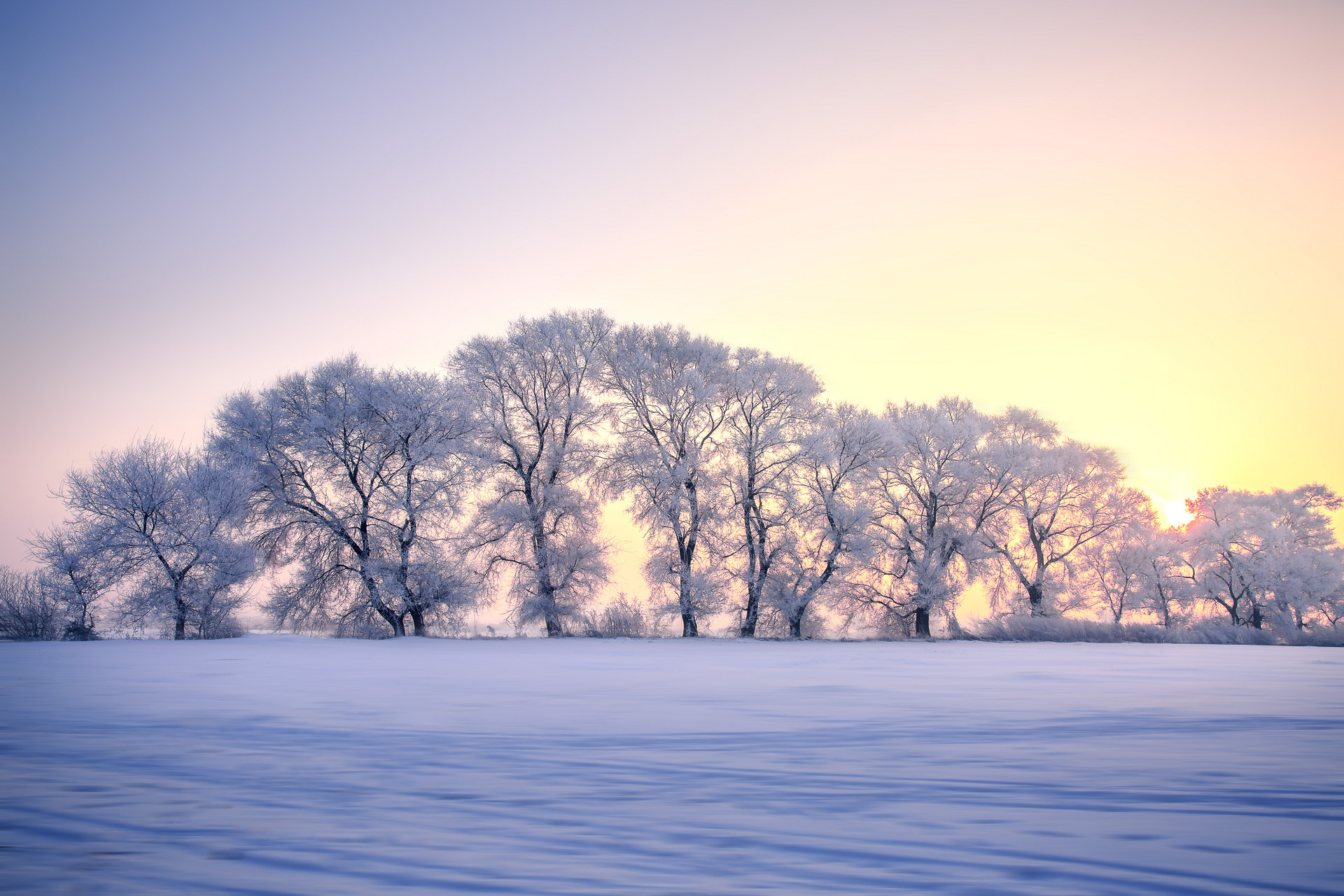 描写冬天的诗句有哪些，10首冬天古诗词
