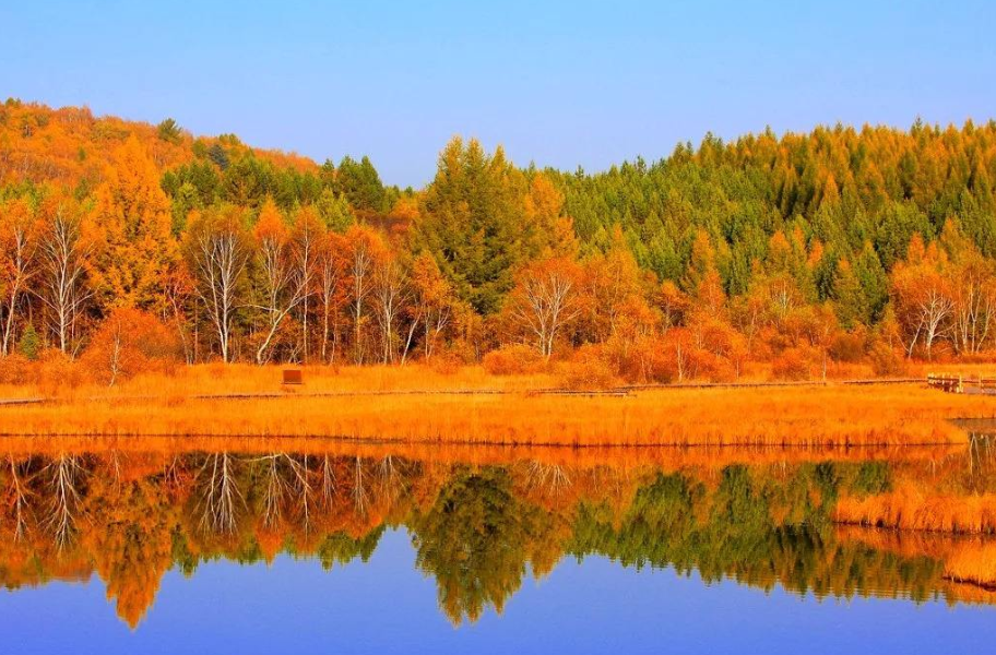 有关秋天的诗句有哪些，10首关于秋天的诗歌