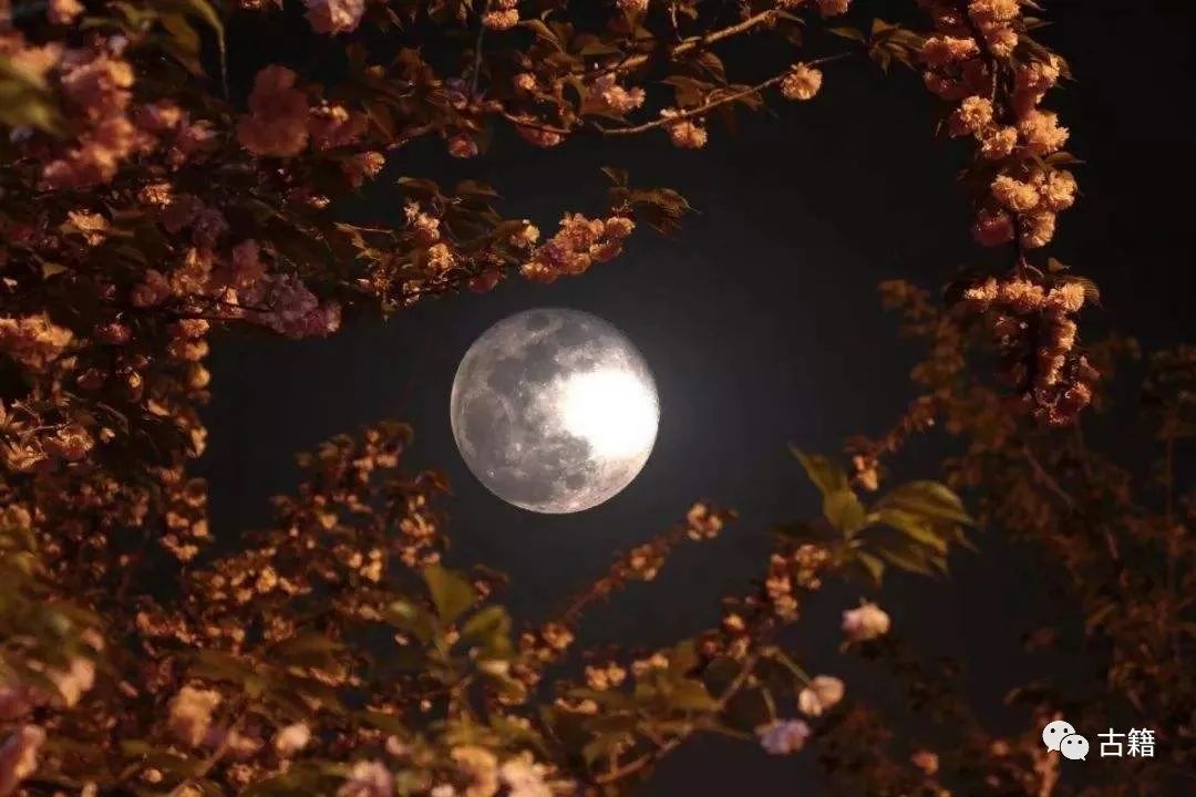 关于月亮的诗句100首完整，小学关于月亮的古诗
