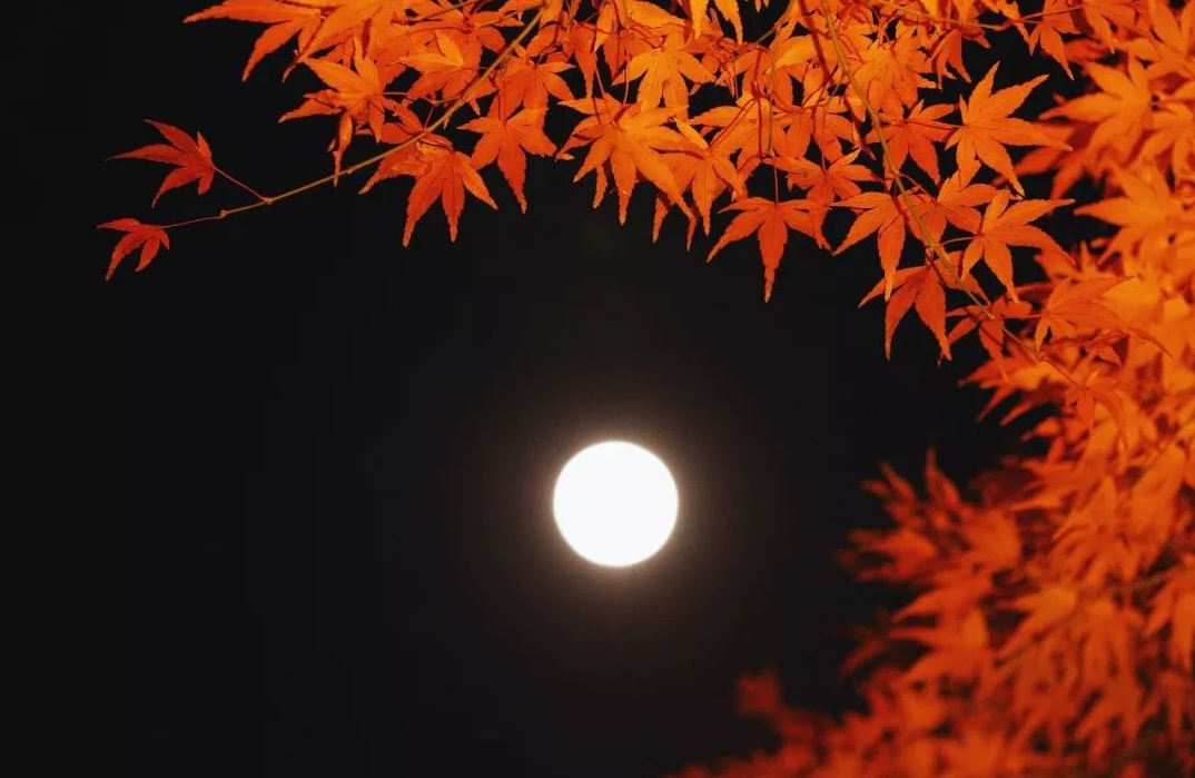 有关中秋节的诗词有哪些，关于思乡的15首中秋节诗词