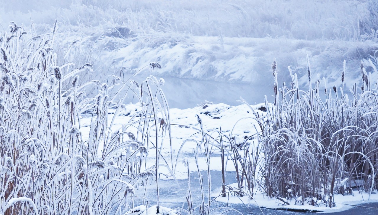 描写冬天的诗有哪些，有关描写冬天的诗句