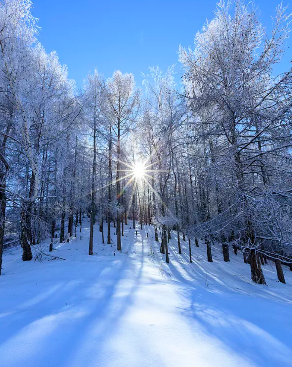 有关写雪的散文诗句，赞美雪景之美的唯美诗句