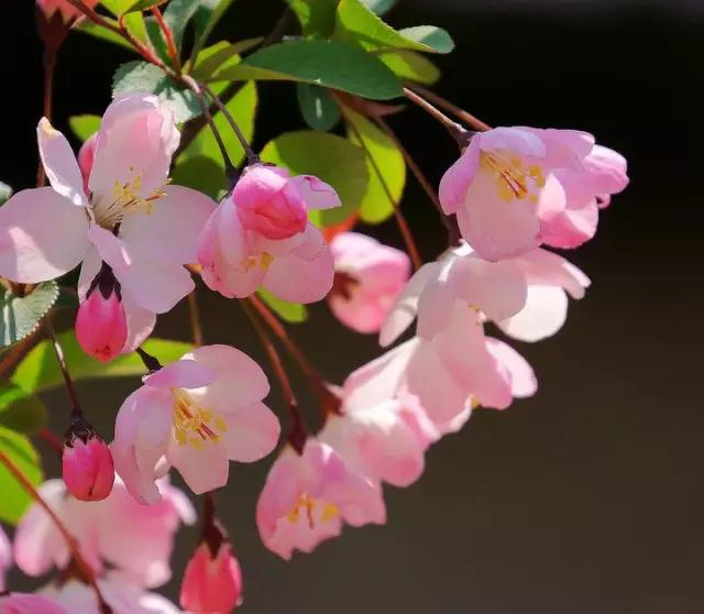 阳春三月的美景诗句，最值收藏的10首早春诗