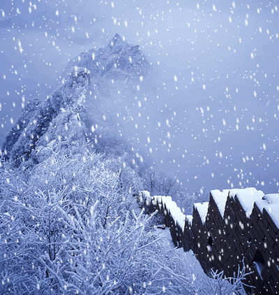 描写雪的诗歌十首，诗中有雪的诗十首分享