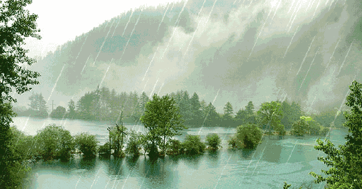 关于雨的诗句古诗大全，描写雨景的12首唯美意境诗