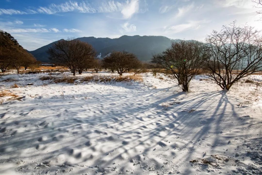 雪的古诗有哪些，写出雪花飘落之美的20首唯美古诗