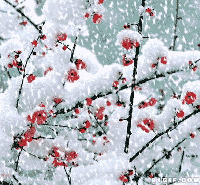 有关雪的诗句有哪些，赞美雪景之美的66条唯美诗词