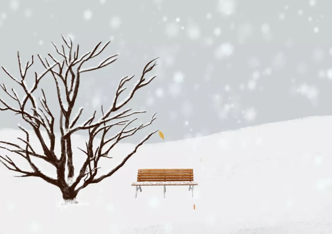 描写雪的古诗词名句，赞美雪景的诗句赏析