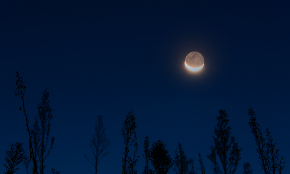 借月抒情的诗句有很多例如有哪些，描写月下美景的诗句