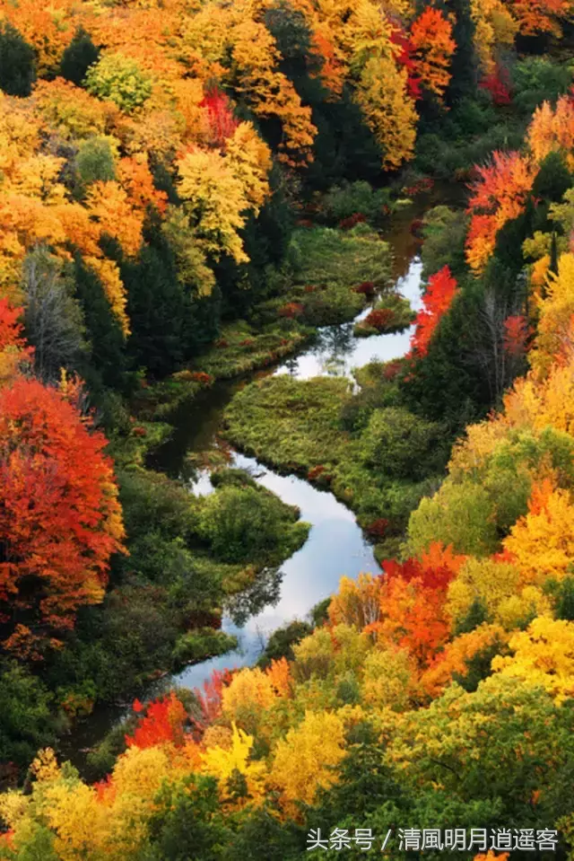 关于秋天的诗词佳句大全，描写秋景秋意的名师名句