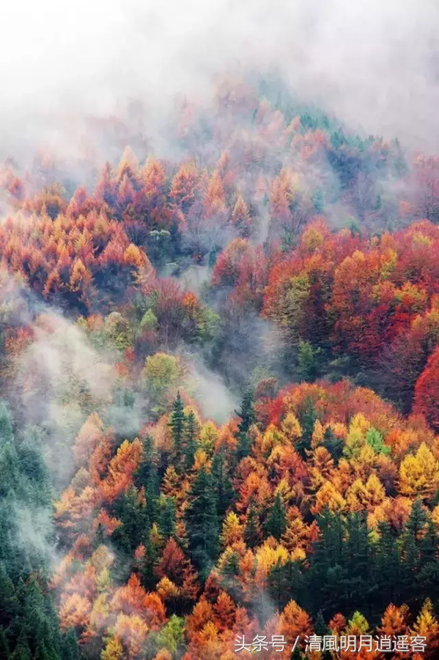 关于秋天的诗词佳句大全，描写秋景秋意的名师名句