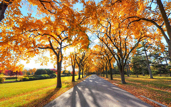 关于秋天的诗词有哪些，描写秋天风景的诗