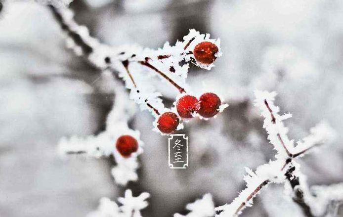 关于冬至的诗句古诗，描写冬至的优美句子