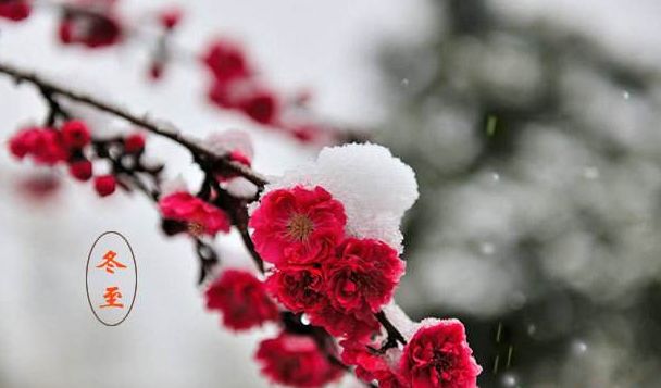 关于冬至的诗句古诗，描写冬至的优美句子