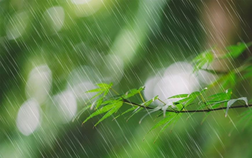 写雨的诗歌有哪些，关于写雨的诗10首