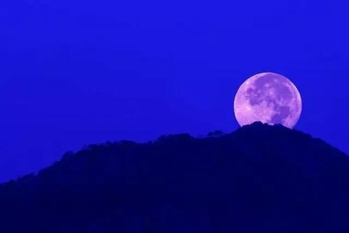 十五夜望月的意思，十五夜望月古诗全解