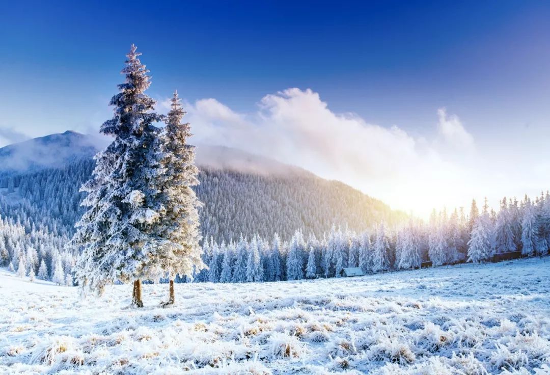 关于描写雪的句子有哪些，赞美雪景的诗句赏析