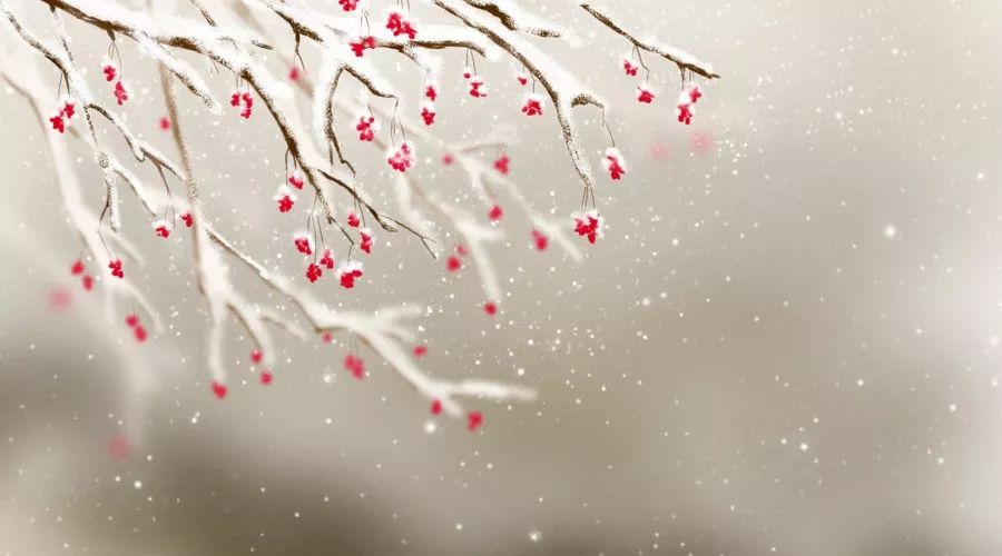 关于描写雪的句子有哪些，赞美雪景的诗句赏析
