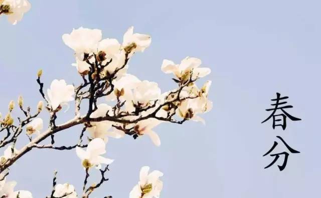 关于春花的诗句有哪些，赞美春季之花的古诗大全