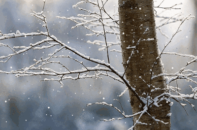 描写雪的古诗句子有哪些，10首写雪景的唯美诗词