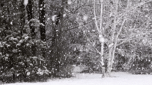 描写雪的古诗句子有哪些，10首写雪景的唯美诗词