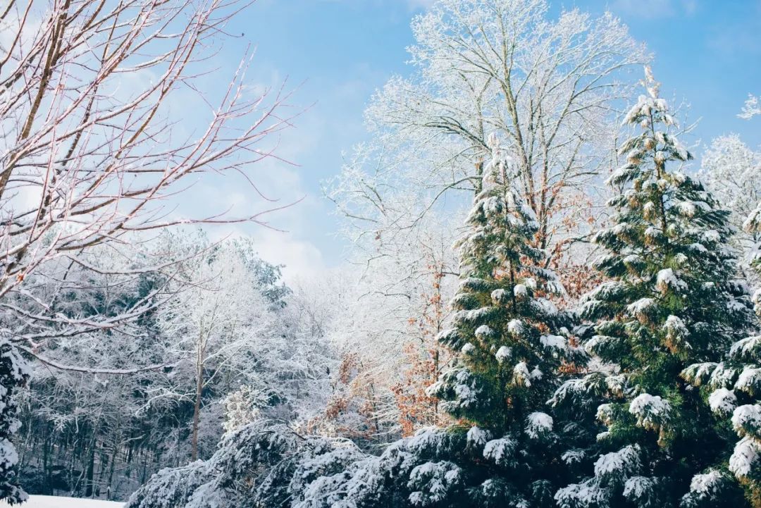 有关雪的诗句有哪些，描写唯美雪景的20首古诗词