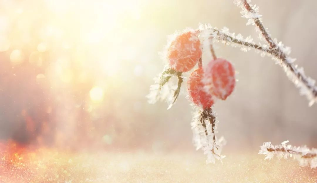 赞美冬天雪景的诗句，形容冬雪景色非常美且有意境的经典诗句