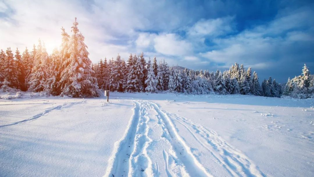 赞美冬天雪景的诗句，形容冬雪景色非常美且有意境的经典诗句